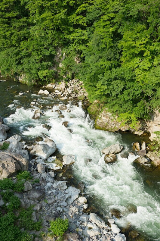部屋からの景観