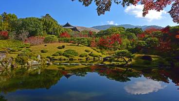 奈良公園の紅葉 / 6
