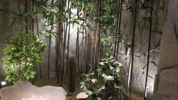 施設内の設備 / 1