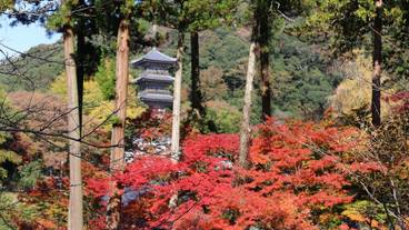 施設からの眺望 / 14