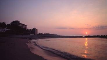 施設からの眺望 / 33