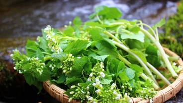 山の幸を活かして / 7