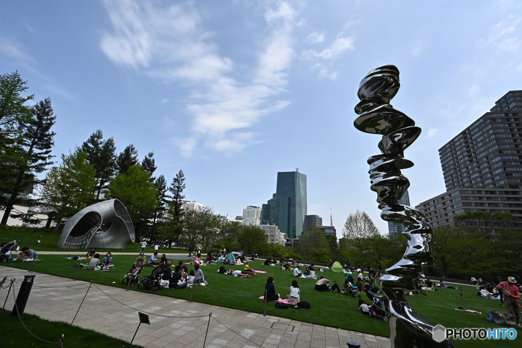 ホッと安らぐグルメに、開放的な芝生広場も3849891