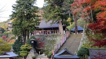 ランド ビュー / 22