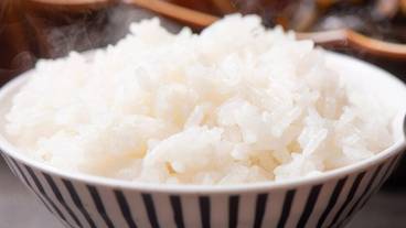 朝食ビュッフェ / 24