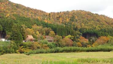 施設からの眺望 / 21