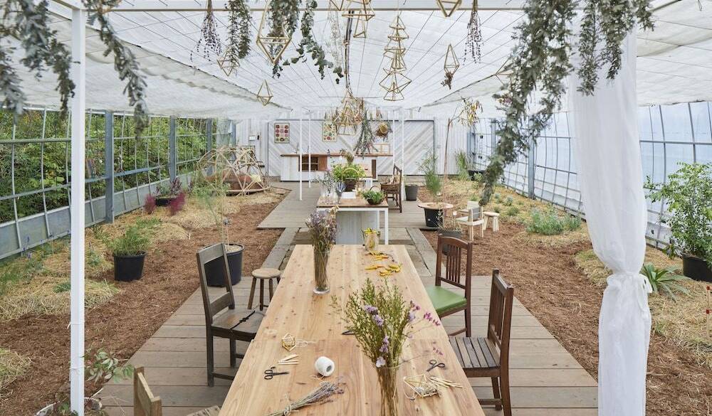 グリーンハウス / 4