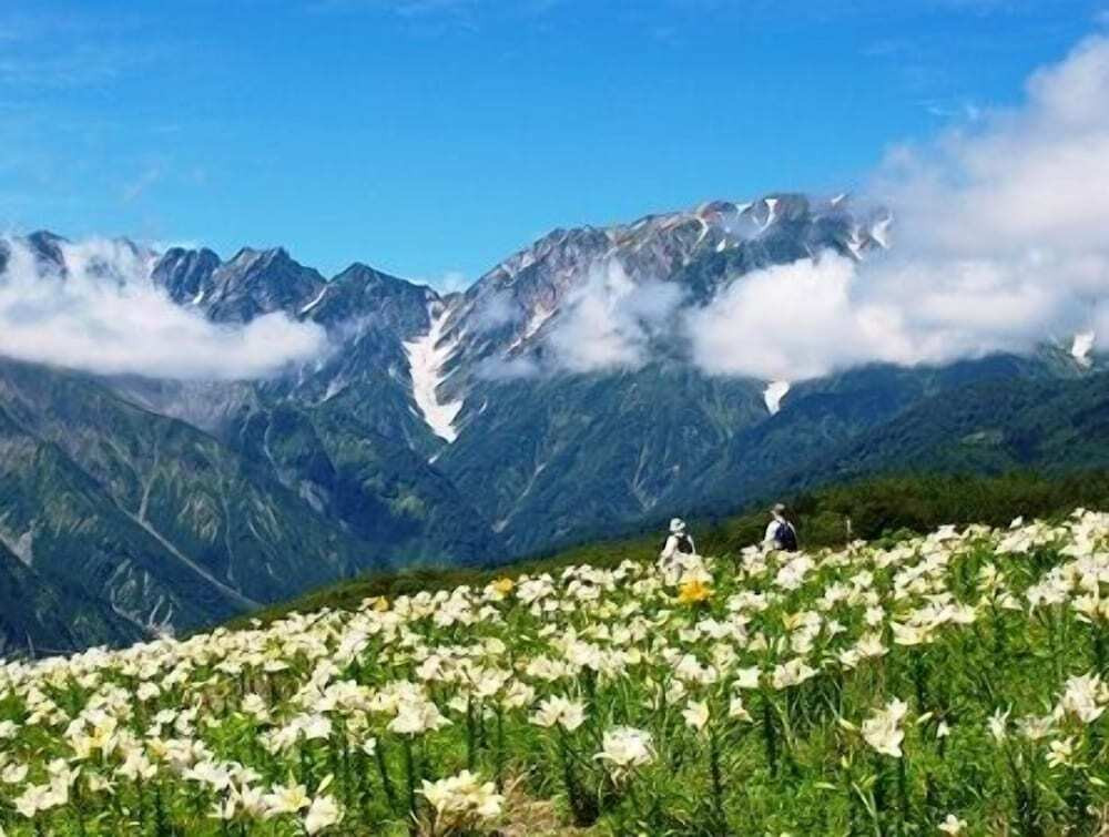 マウンテン ビュー