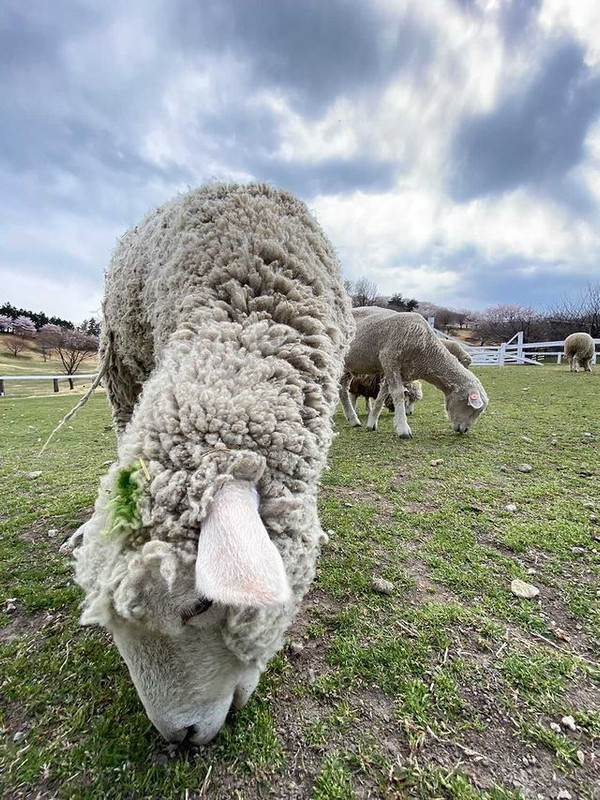 shihoko0922さんの写真 / 4