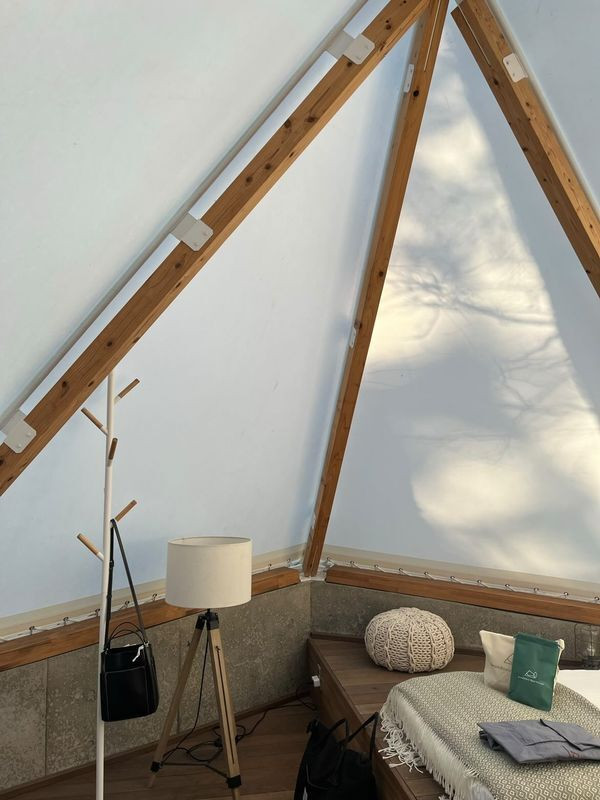 nozobook2022さんの写真 / 2