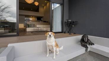 テラス / パティオ / 37