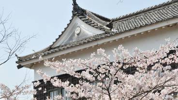 観光スポット / 15