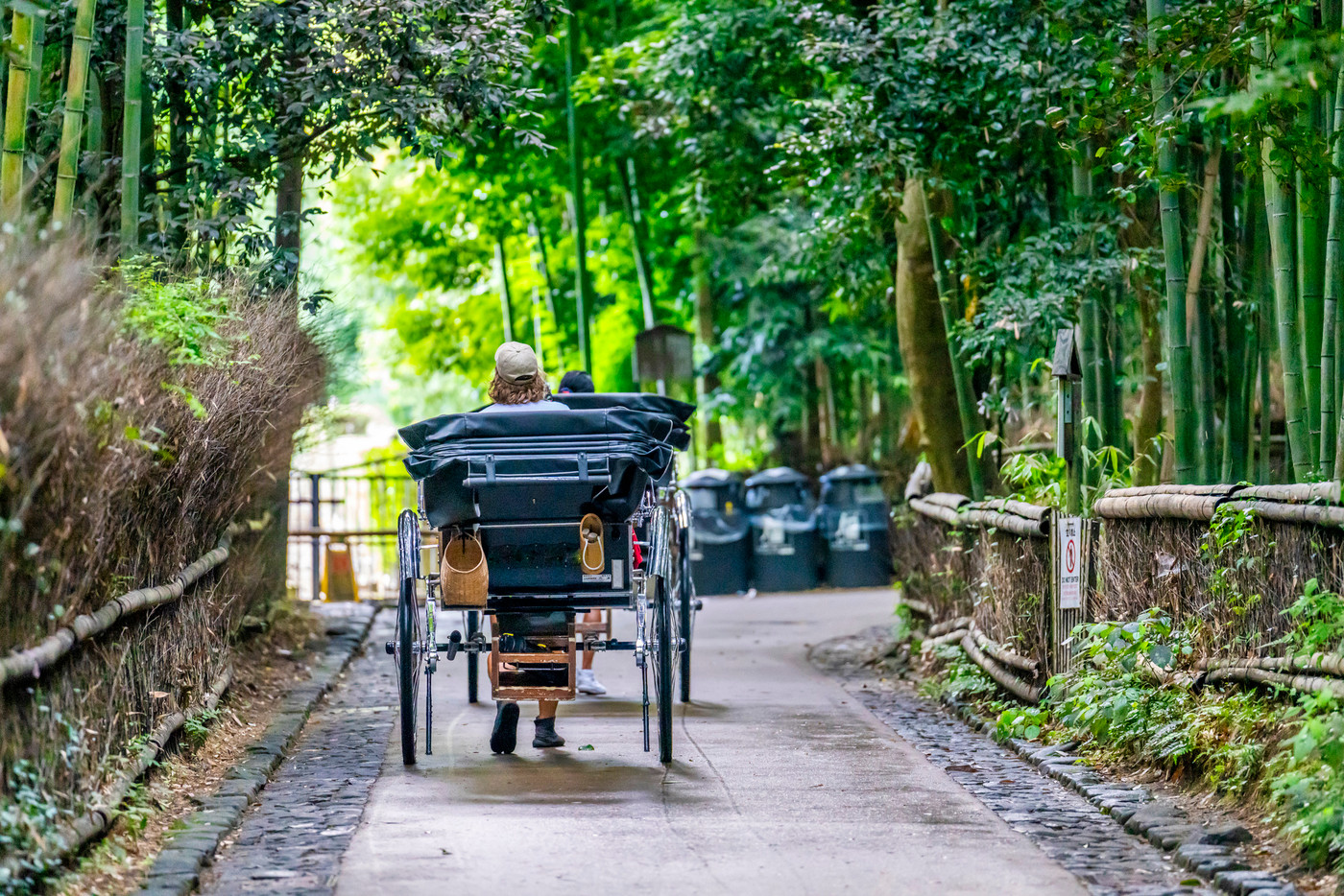 嵐山（嵯峨野）　竹林の小径と人力車　京都市右京区