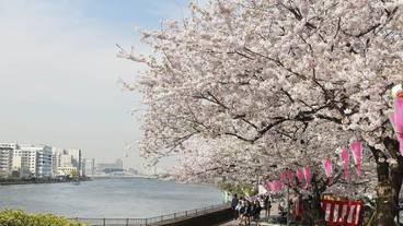 観光スポット / 6