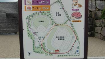 シティ ビュー / 15