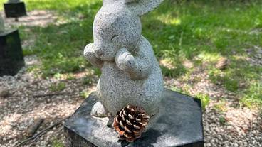 出雲大社のうさぎ(4) / 10