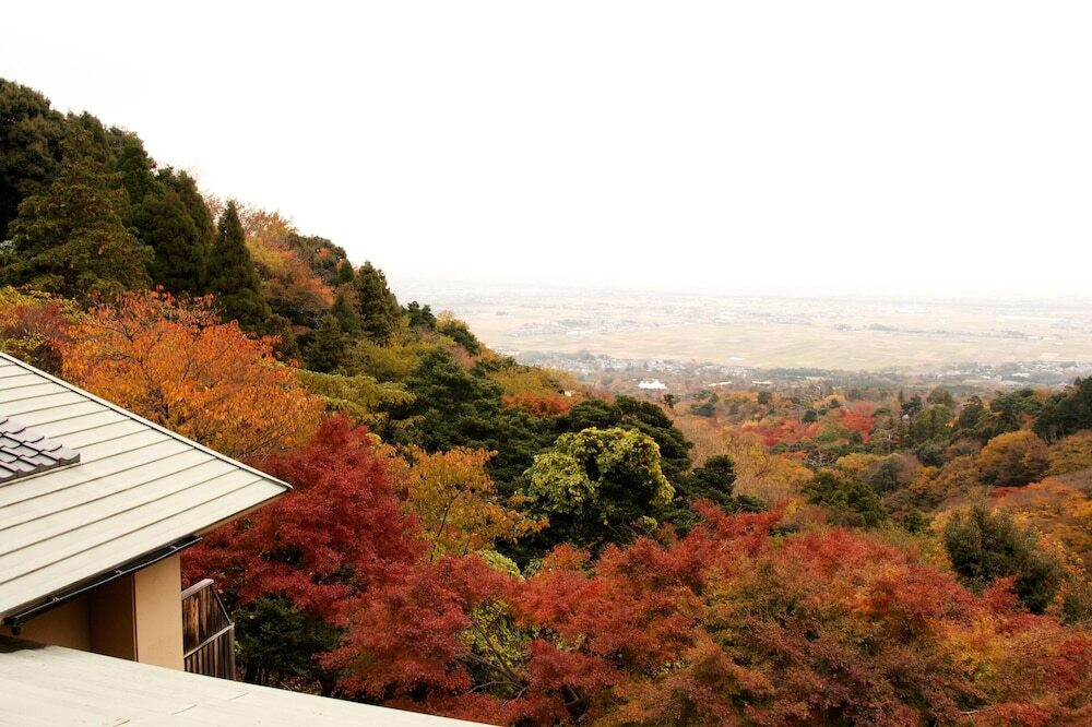 施設からの眺望