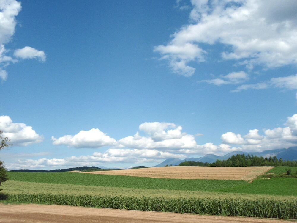 部屋からの景観