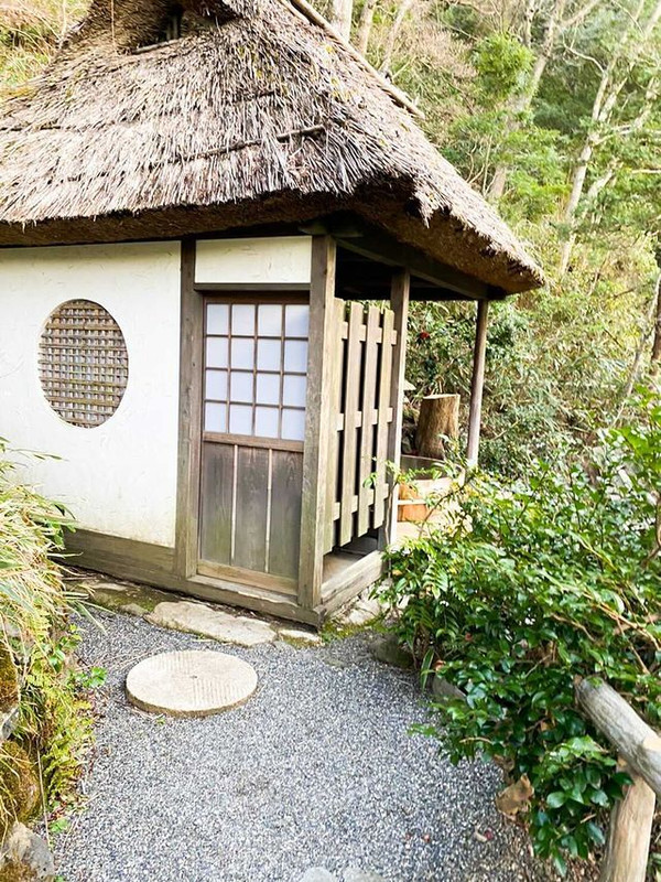 haru___tamaさんの写真 / 1