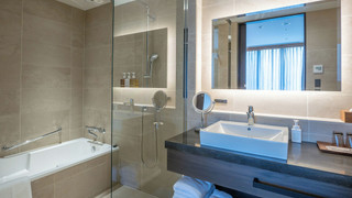 プレミアム ルーム 1 ベッドルーム