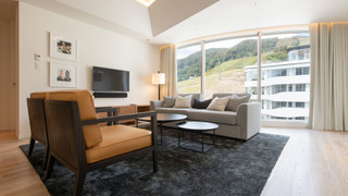 1 Bedroom Suite