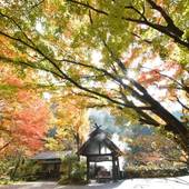 黒川温泉 旅館 奥の湯(熊本県 旅館) / 3