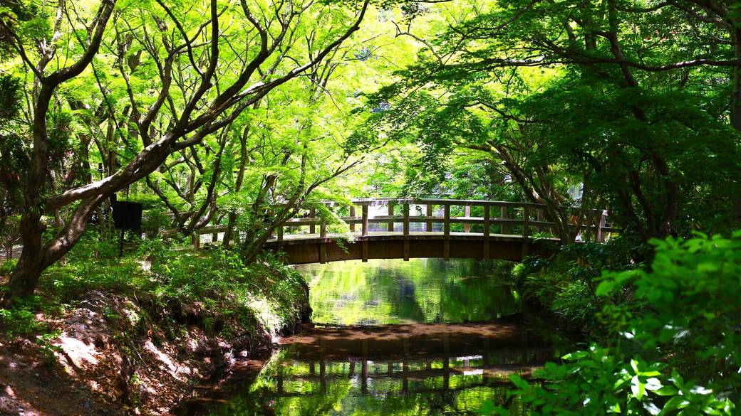 金鱗湖周辺 散策路の風景 / 2