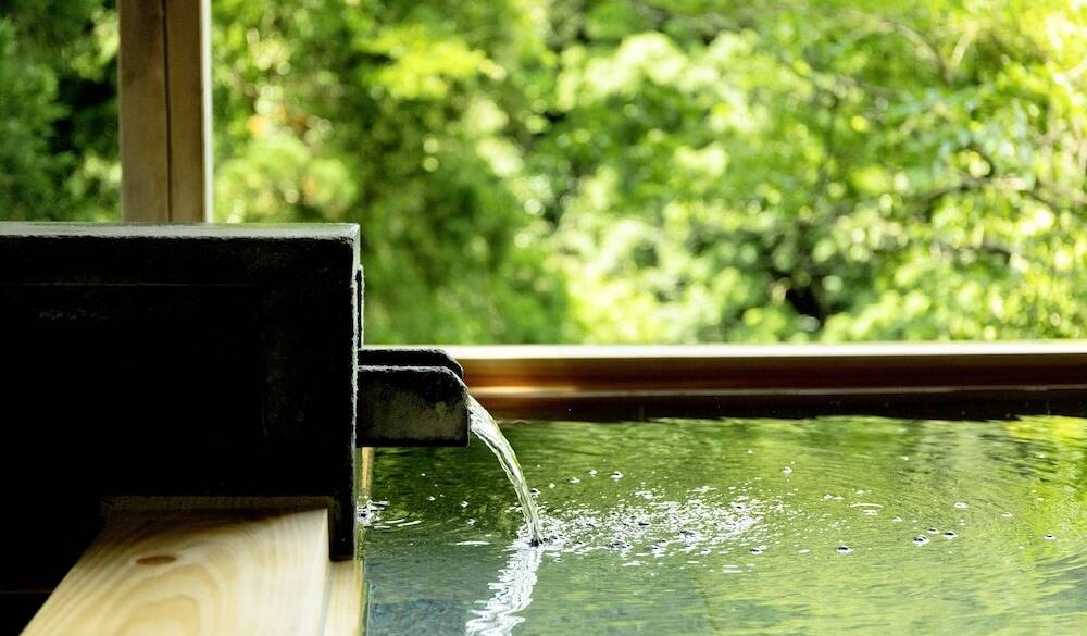 松尾芭蕉にも愛された名湯 / 3