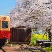 市原マリンホテル（千葉県 ビジネスホテル） / 5