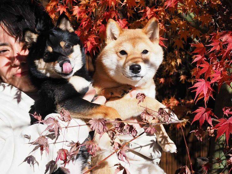 愛犬と一緒に
癒されて帰路へ / 1