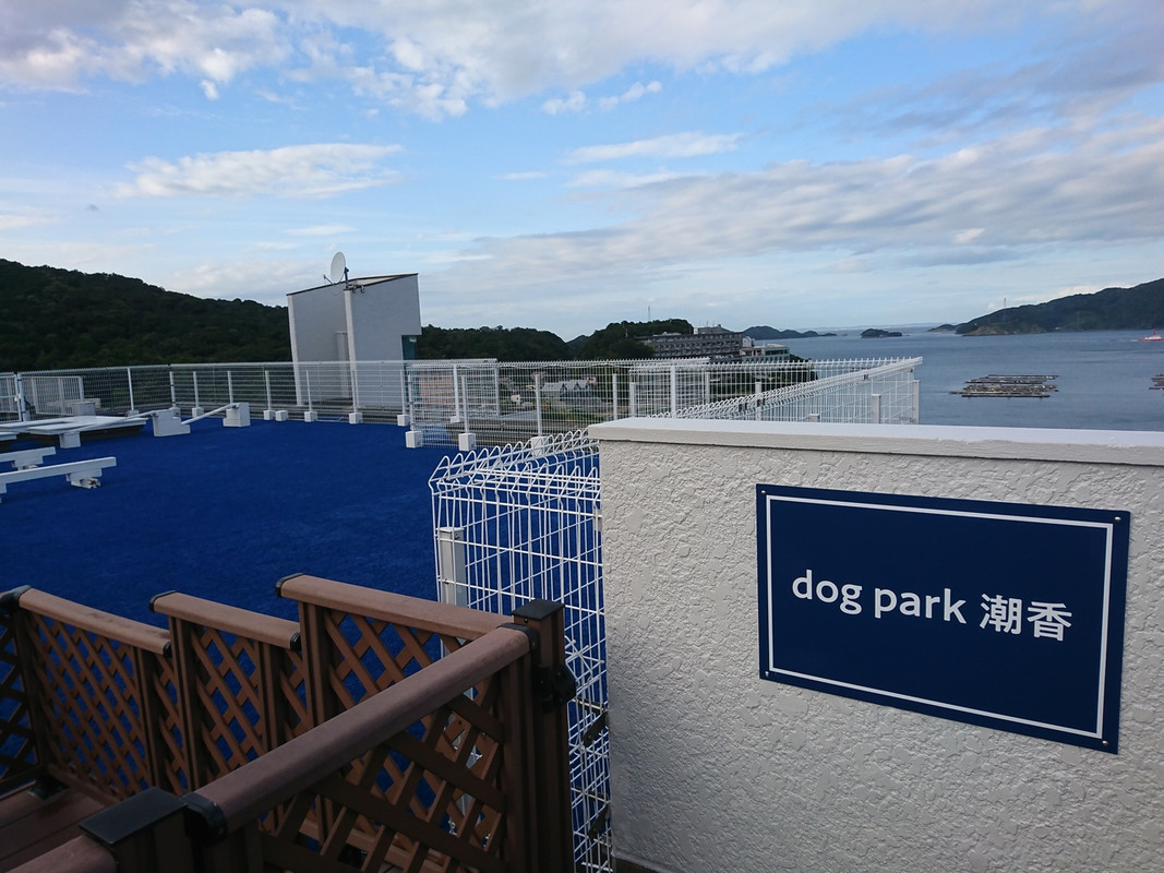 屋上ドッグラン