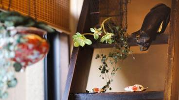 内部エントランス / 3