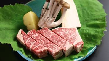 食事・飲み物 / 19