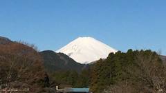 箱根園コテージ（プリンスグランドリゾート）