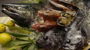 食事・飲み物 / 2