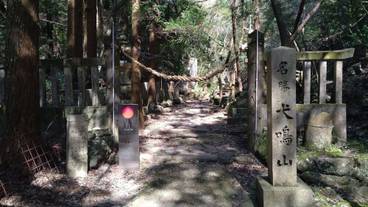 観光スポット / 31