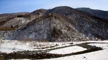 部屋からの景観 / 15