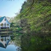 アートホテル成田（千葉県 シティホテル） / 5