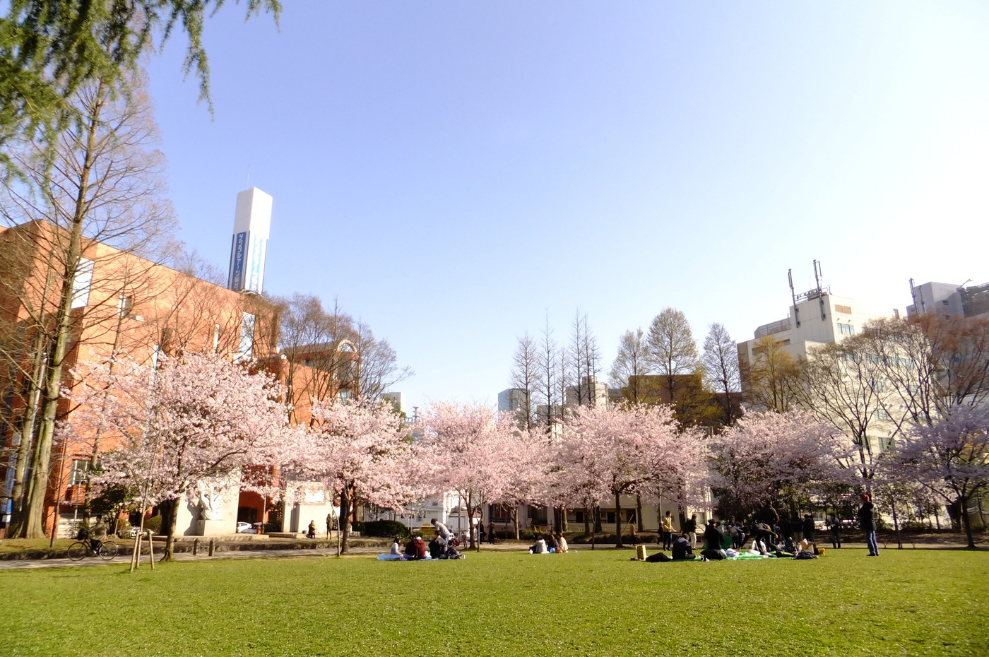 仙台錦町公園