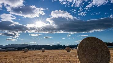 ランド ビュー / 26