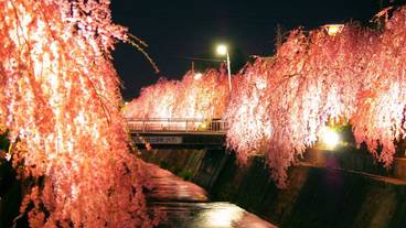 観光スポット / 17