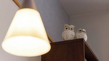 客室の設備とサービス / 35