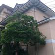 宮島ホテルまこと