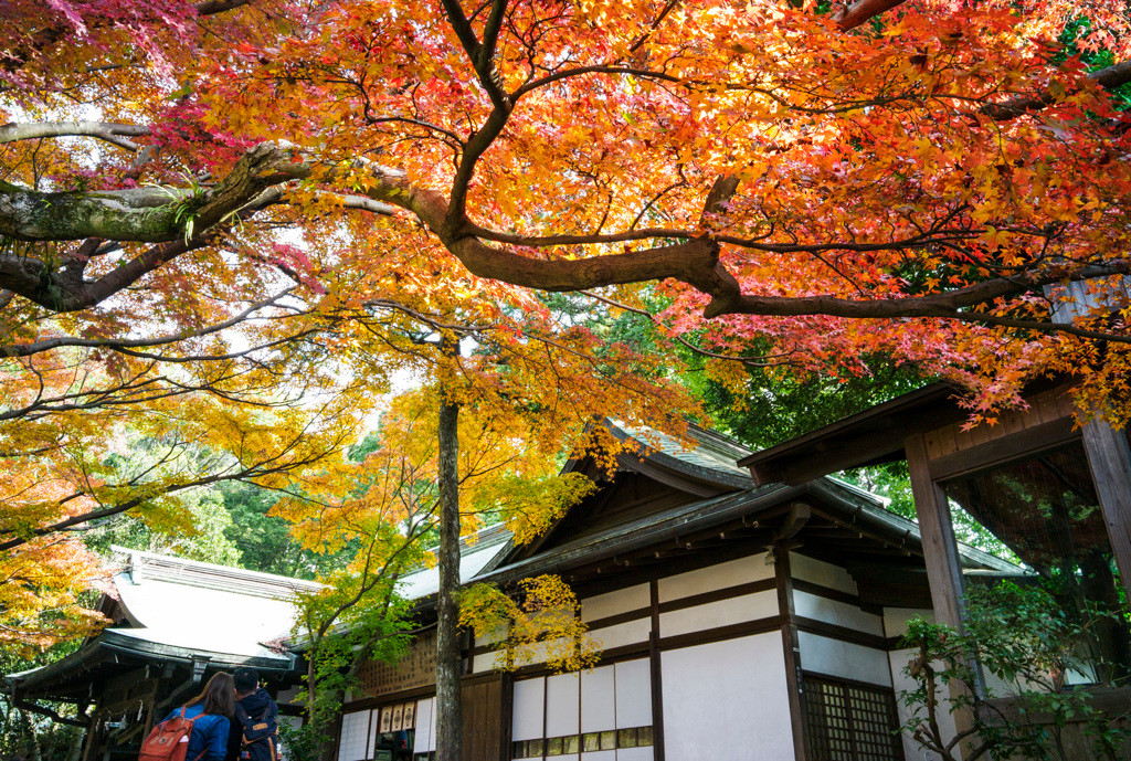 こちらで観光♪「鎌倉宮」3907471