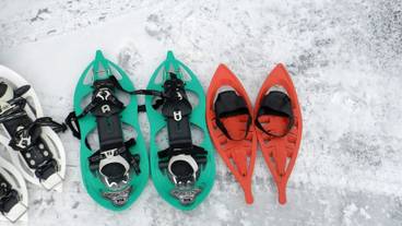 スノー スポーツとスキー / 6