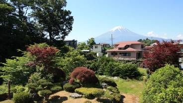 部屋からの景観 / 11