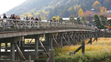 施設からの眺望 / 12