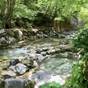 ☆川沿いの露天風呂で自然を満喫☆ 温泉につかりリフレッシュ☆彡 | 大丸あすなろ荘