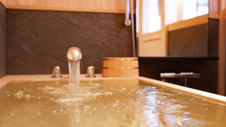 今岡製糸創設者の邸宅 YUKI 801号室 102平米 禁煙