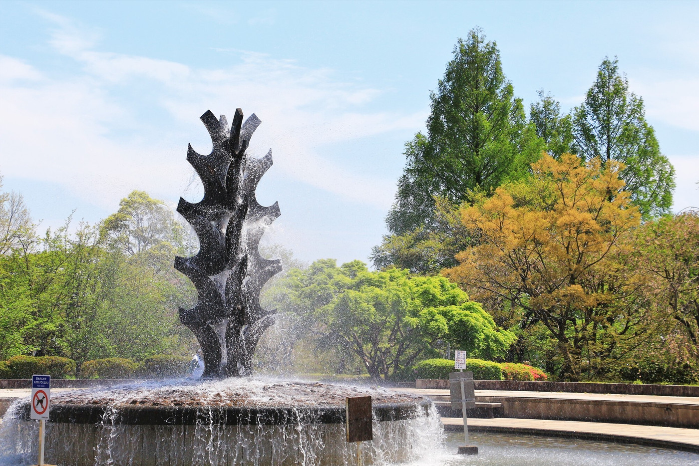 噴水と新緑の公園